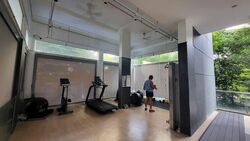 Angullia Park Residences @ Orchard (D10), Apartment #558074511